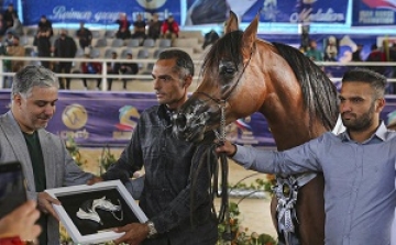 مقام دوم جشنواره زیباترین اسب‌ اصیل عرب به سوارکاران هفت‌تپه‌ای رسید